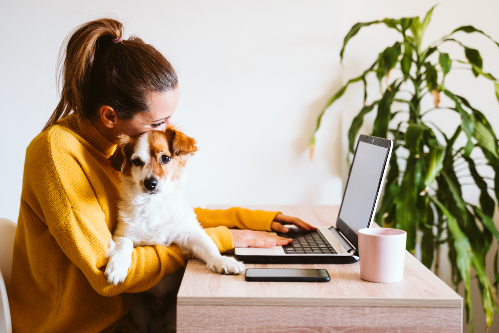 Young woman working on laptop with cute dog